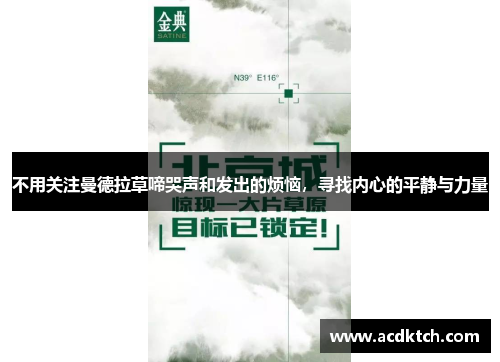 不用关注曼德拉草啼哭声和发出的烦恼，寻找内心的平静与力量