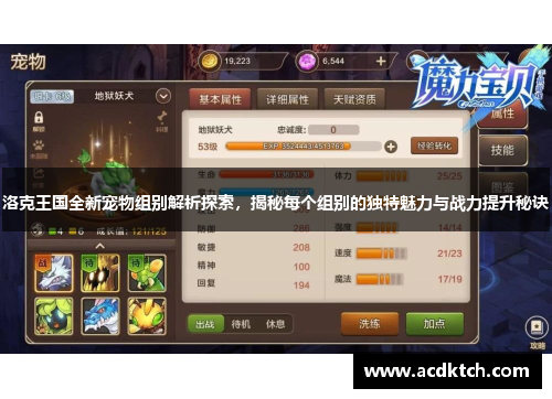 洛克王国全新宠物组别解析探索，揭秘每个组别的独特魅力与战力提升秘诀